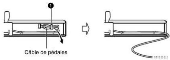Câble de pédales