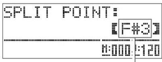 SPLIT POINT: F+3 0:000:120