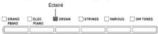 Éclairé GRAND PIANO ELEC PIANO ORGAN STRINGS VARIOUS GM TONES