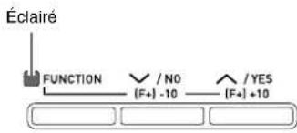Éclairé FUNCTION / NO / YES (F+) -10 (F+) +10