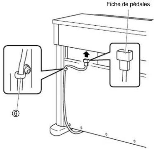 Fiche de pédales G