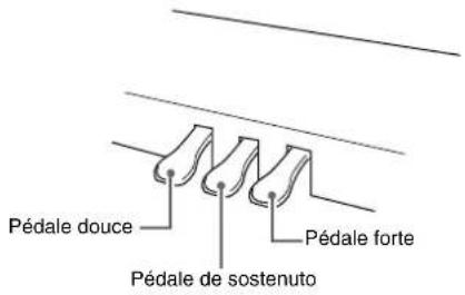 Pédale douce Pédale de sostenuto Pédale forte
