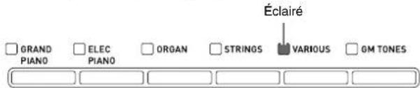 Éclairé GRAND PIANO ELEC PIANO ORGAN STRINGS VARIOUS GM TONES