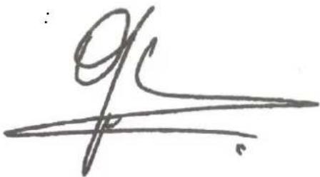 91