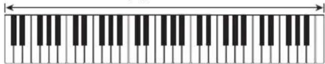 CASIO CTK-2400 - FULL RANGE CHORD - 2