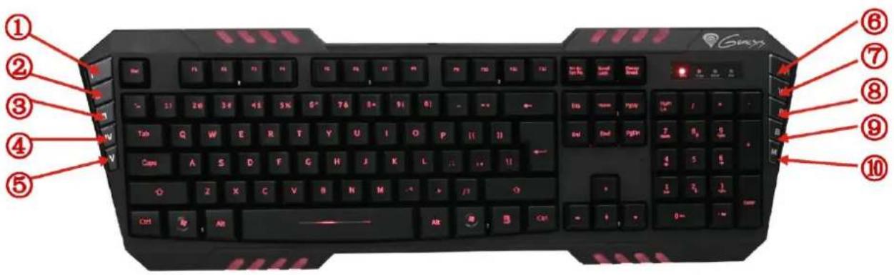 Natec RX55 - Saving the profile: - 1