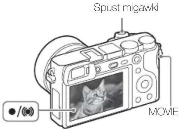 Spust migawki MOVIE