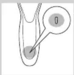 Diagram showing a biological or anatomical structure with a labeled point '0' pointing to a region of interest.
