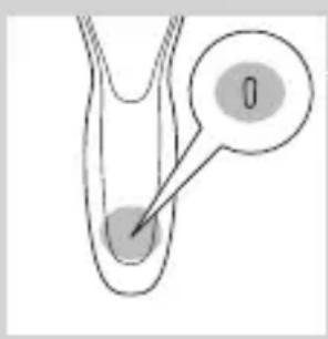 Diagram showing a biological or anatomical structure with a labeled point '0' pointing to a circular feature.