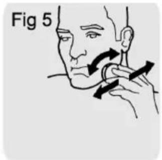 Fig 5