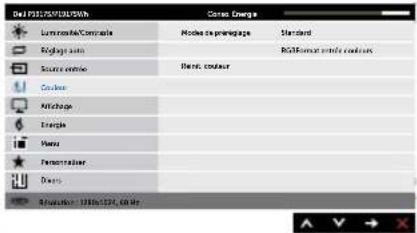 DELL P1917S - Ajustement Auto en Cours... - 6