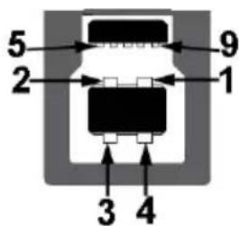 5 2 9 1 3 4