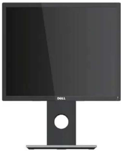 DELL P1917S - Vue de devant - 1