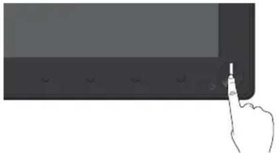 DELL P1917S - Allumer le moniteur - 1