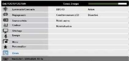 DELL P1917S - Modes de préréglage - 17