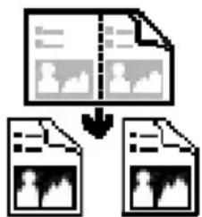 graph TD A["Input Image"] --> C["Document Review"] B["Document Review"] --> C C --> D["Output Image"] D --> E["Output Document"]