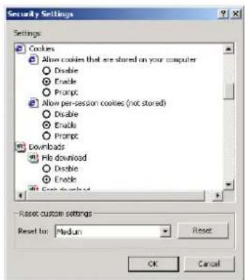 Security Settings Settings: Cookies Allow cookies that are stored on your computer Disable Enable Prompt Allow per-session cookies (not stored) Disable Enable Prompt Downloads File download Disable Enable Reset custom settings Reset to: Medium Reset OK Cancel