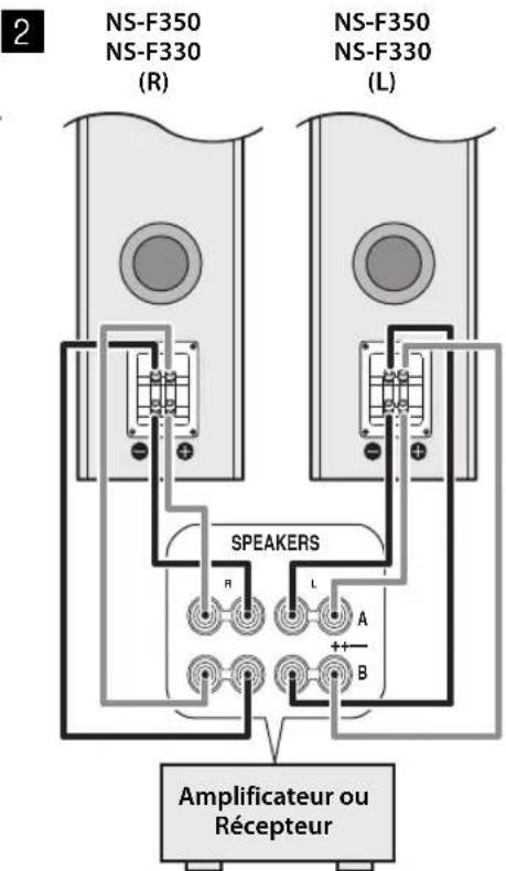 2 NS-F350 NS-F330 (R) NS-F350 NS-F330 (L) SPEAKERS R L A + B Amplificateur ou Récepteur
