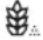 PHILIPS Avance Collection HR2353 - Tabella dei tipi di pasta - 1
