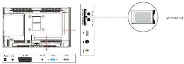Module CI