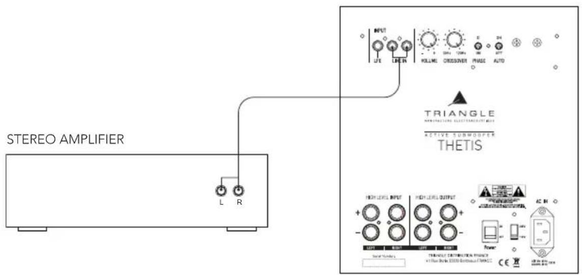 STEREO AMPLIFIER L R INPUT LIFE LIFEM ROLLME CROSOVER PHASE AUTO TRIANGLE MANUFACTURING ELECTRIC/VEGETABLE ACTIVE SUBMOOFER THETIS HIGH LEVEL INPUT HIGH LEVEL OUTPUT + - - - - - - - - - - - - - - - - - - - - - - - - - - - - - - - - - - - - - - - - - - - - - - - - - - - - - - - - - - - - - - - - - -…