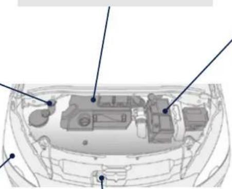 PEUGEOT 2008 (2015) - Entretien - Caractéristiques techniques - 1