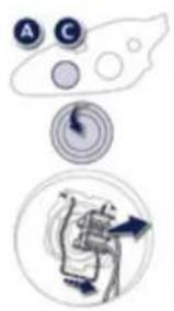 A C