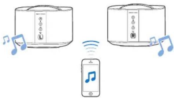 PHILIPS Fidelio E6 - Бездротові стереогучномовці Bluetooth - 1