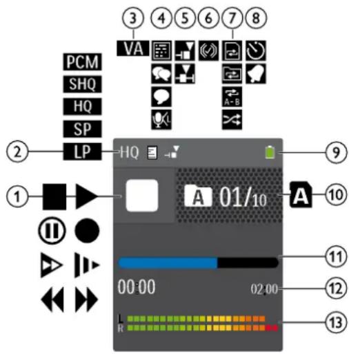 PCM SHQ HQ SP LP HA 01/10 A 9 1 ① ② ③ ④ ⑤ ⑥ ⑦ ⑧ ⑪ ⑫ 00:00 02:00 L R
