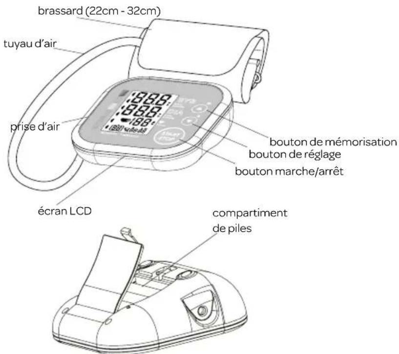 brassard (22cm - 32cm) tuyau d'air prise d'air écran LCD bouton de mémorisation bouton de réglage bouton marche/arrêt compartiment de piles