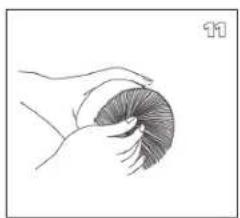 Line drawing of a hand holding a curled-up, segmented object (no text or symbols)