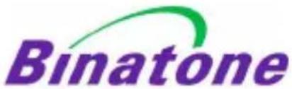 Binatone