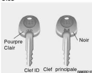 Pourpre Clair Noir Clef ID Clef principale B8003215