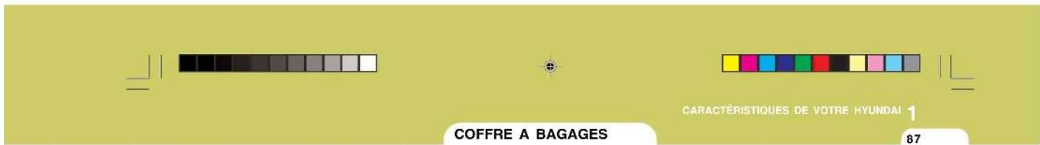COFFRE A BAGAGES CARACTERISTIQUES DE VOTRE HYUNDAI 1 87
