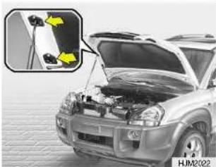 HYUNDAI Tucson (2009) - PARE-SOLEIL - 1