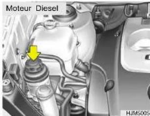 Moteur Diesel HJMS005