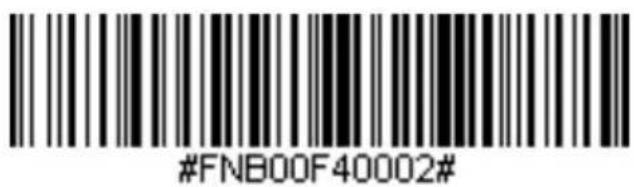 #FNB00F40002#