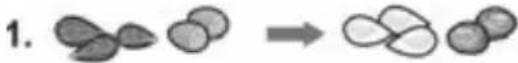 BOSCH VitaStyle MMBM7G2M - Looking for help? You'll find it here. - 70
