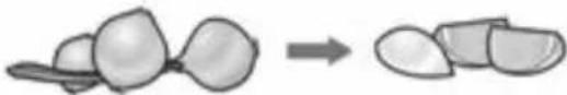 BOSCH VitaStyle MMBM7G2M - Looking for help? You'll find it here. - 69