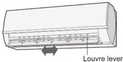Louvre lever