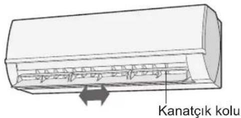 Kanatçık kolu