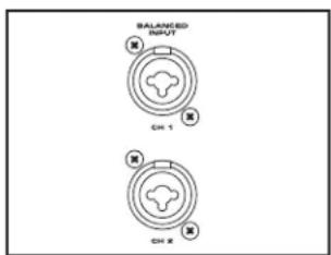 BALANCED INPUT CH 1 CH 2