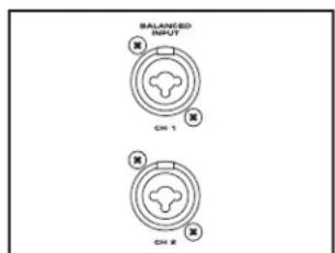 BALANCED INPUT CH 1 CH 2