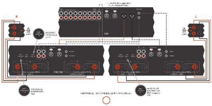 ARCAM C49 - 双重单声道-P49只 - 1