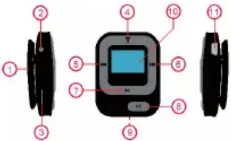 Diagram of a blood glucose meter with labeled parts including diaphragm, screen display, and mouse.