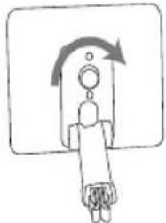 Trevi TW 7005 - Preparation - 3
