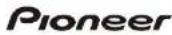 PIONEER APS-SL2 - Pioneer Solid State Disk APS-SL2 - 9