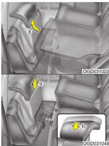 8 9 10 OGD031022 OGD031046