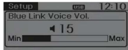 Setup USB 12:10 Blue Link Voice Vol. 15 Min Max