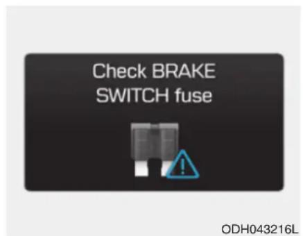 Check BRAKE SWITCH fuse ODH043216L